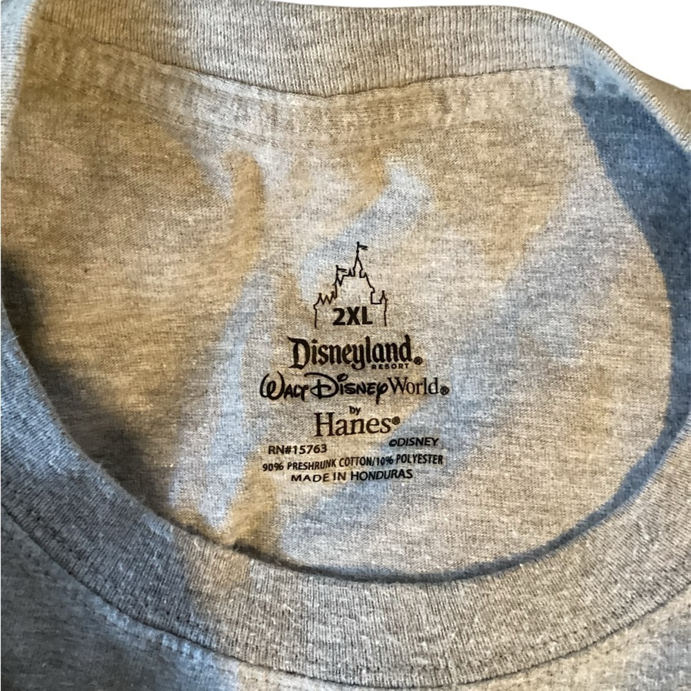 #106 Gray Disneyland Branded long sleeve Grey shirt “Hanes” Brand size 2XL